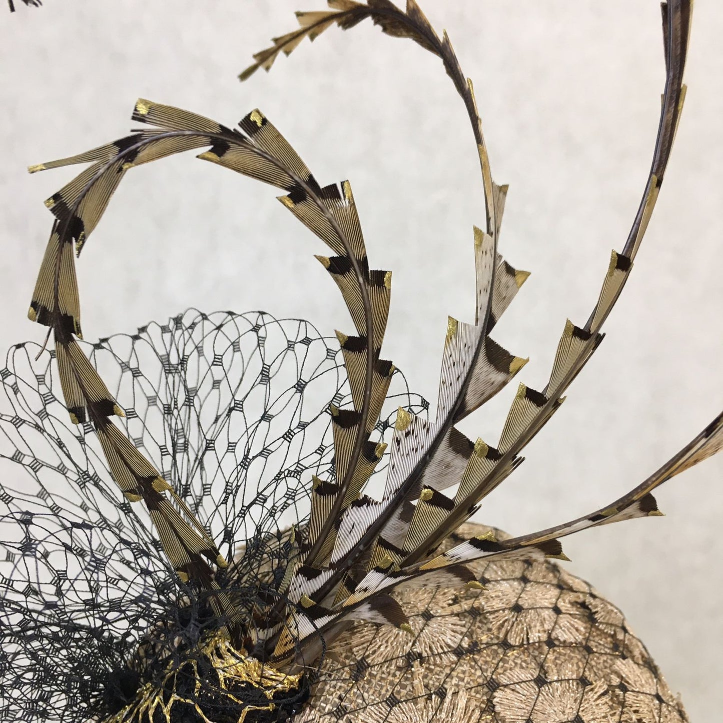 Bambi: Petite Dome Cocktail FascinatorAccented with Pheasant feathers and Black netted Veiling