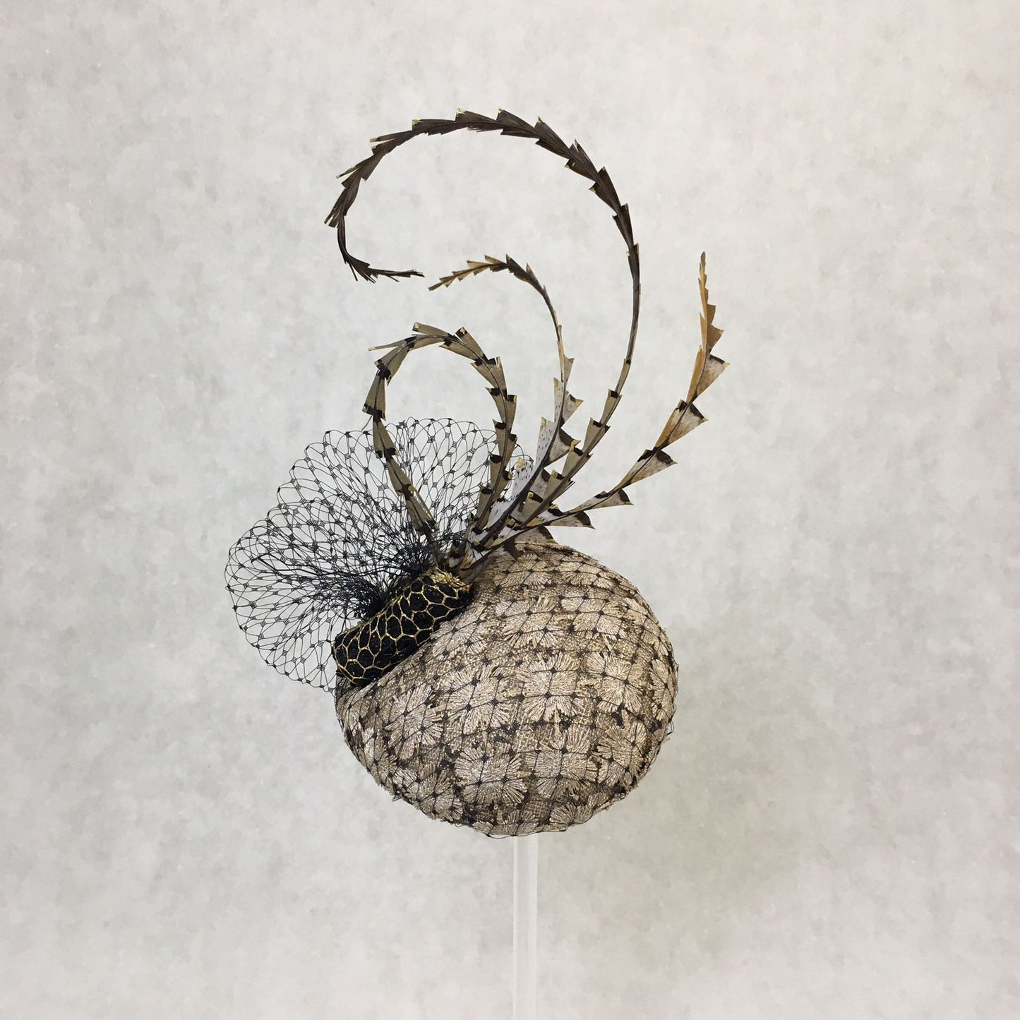Bambi: Petite Dome Cocktail FascinatorAccented with Pheasant feathers and Black netted Veiling